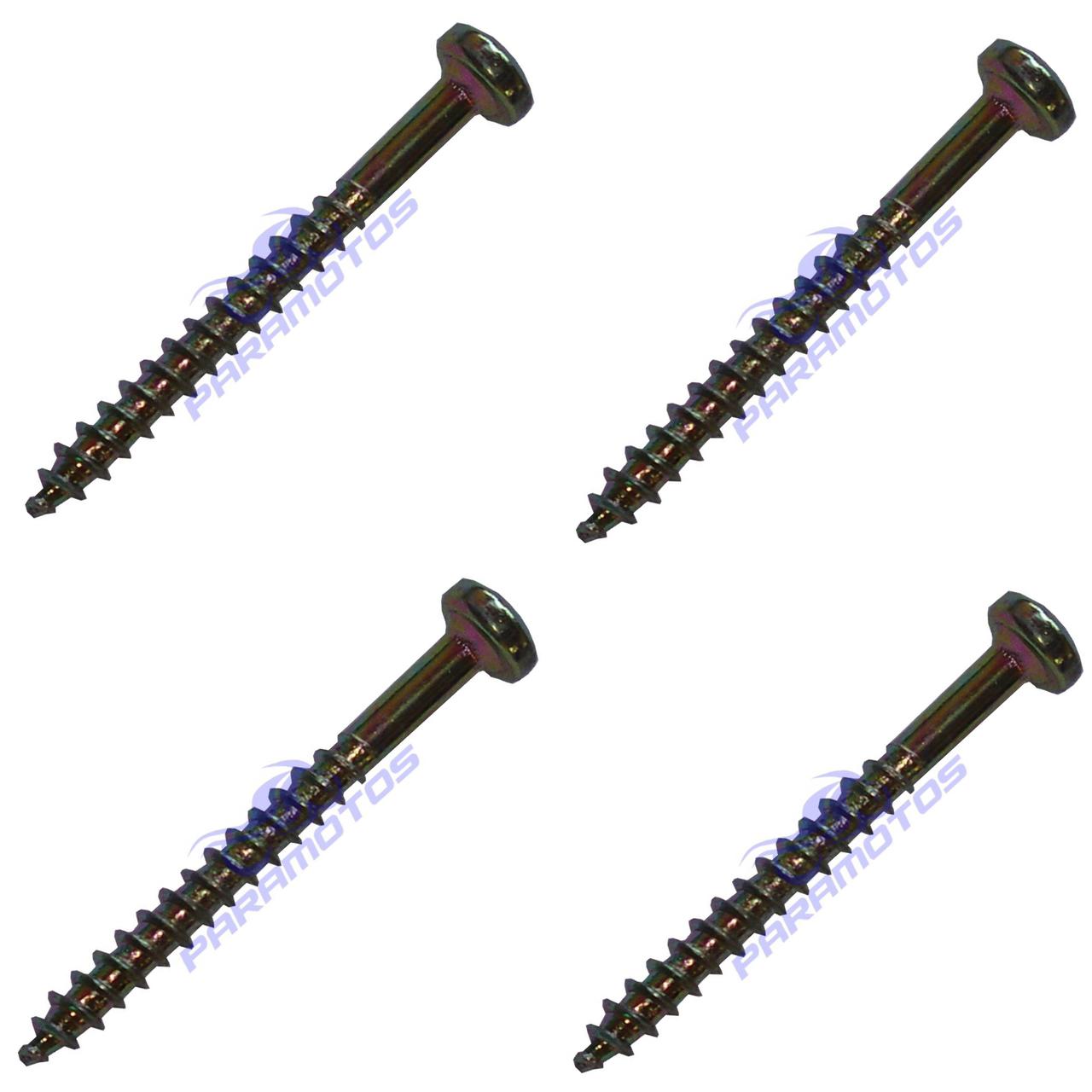 KIT PARAFUSO PISCA CB400 4×25