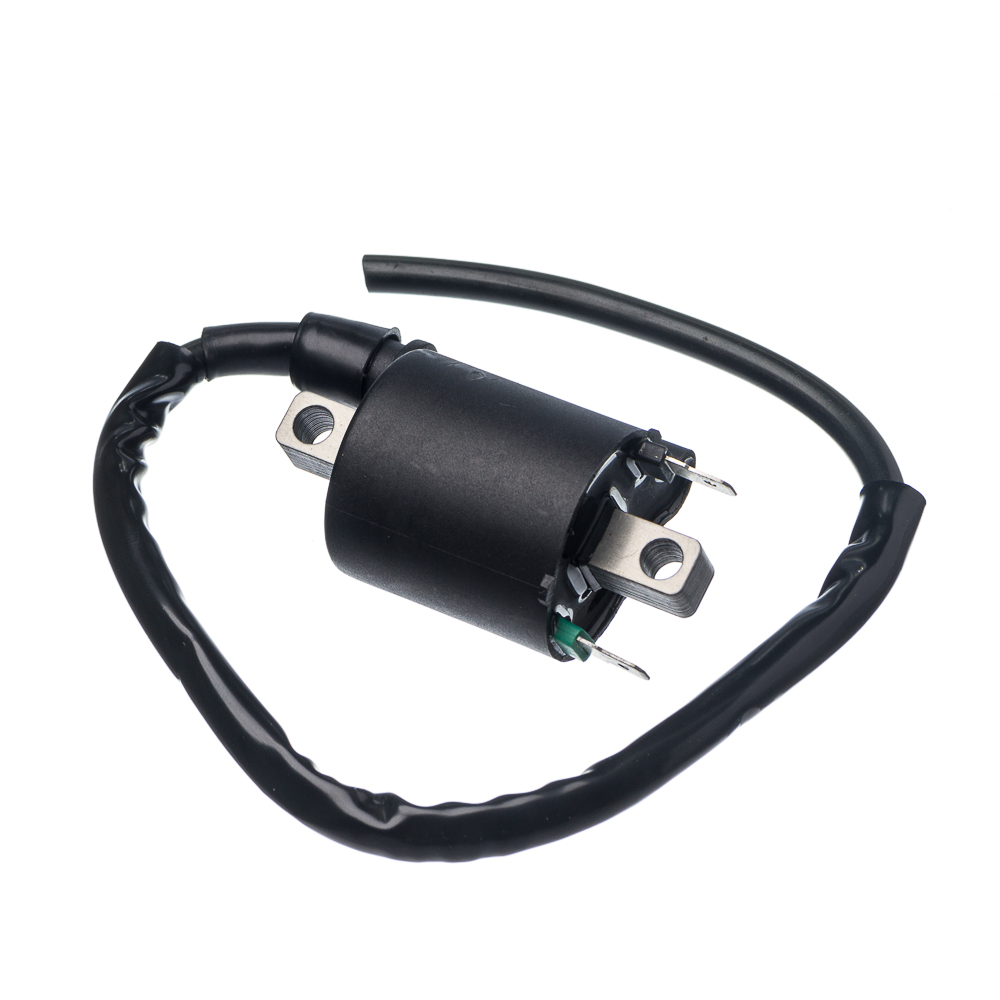 Bobina Ignicao Condor 12v Cg 150 09 A 15