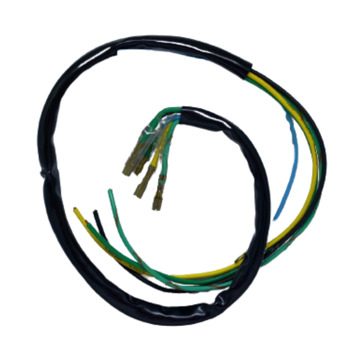 CHICOTE ESTATOR RX125 TT125