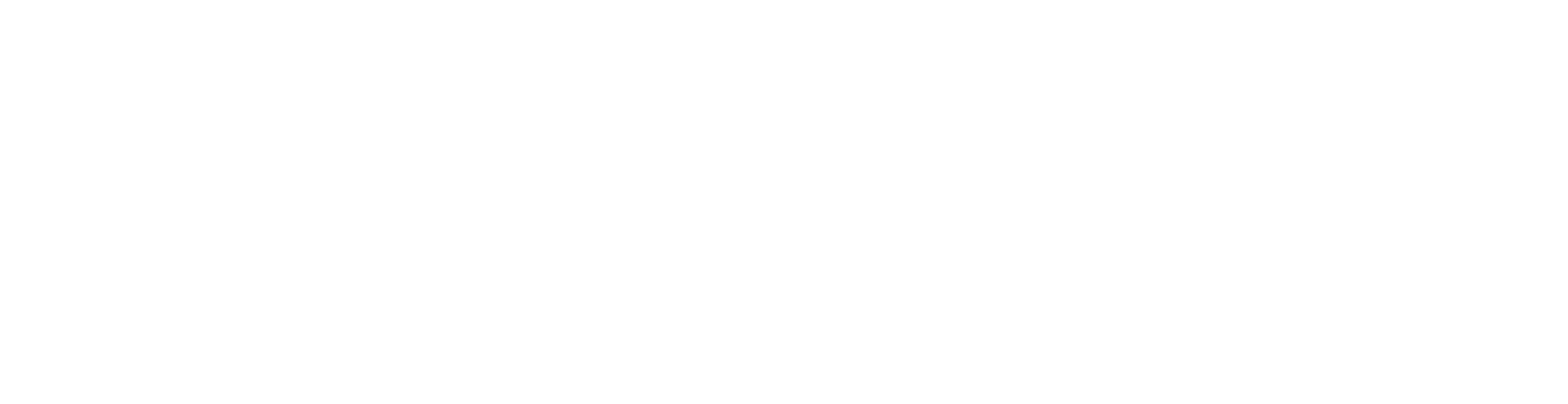 Race Motos