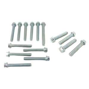 KIT PARAFUSO TAMPA MOTOR CG125 00 A 08